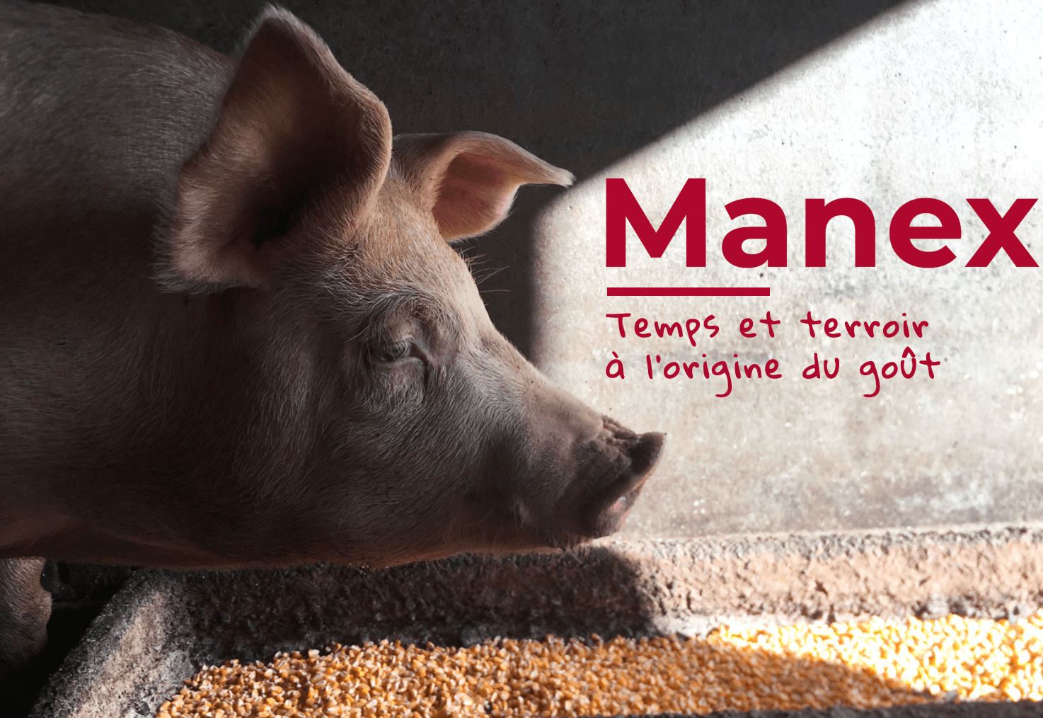le porc manex qui nous vient du pays basque pour nous fournir des jarrets et echines de porc de qualité